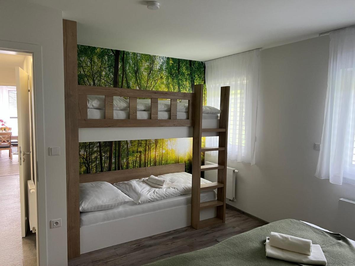Apartman - Dolni Morava - "Sedmicka" Pro 2 Az 6 Osob Exterior foto